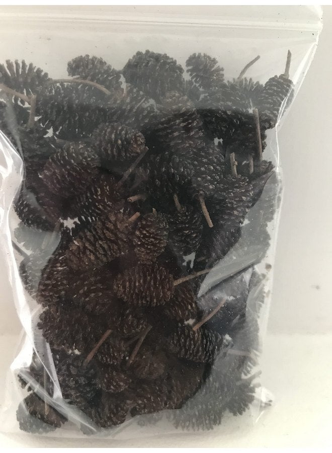 Hexagrowth Alder Cones 30 Pack, Full of Tannins, Enhance Immunity, Promote Natural Habitat, Easy to Use, Aquarium Conditioner, Natural Food Source, Shrimp Betta breeding, Size 0.5" to 1.5" - Image 5