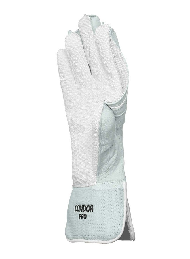 دي أس سي قفازات حراسة المرمى للكريكيت من دي إس سي كوندور برو - Image 5