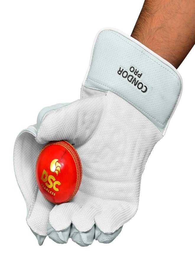 دي أس سي قفازات حراسة المرمى للكريكيت من دي إس سي كوندور برو - Image 3