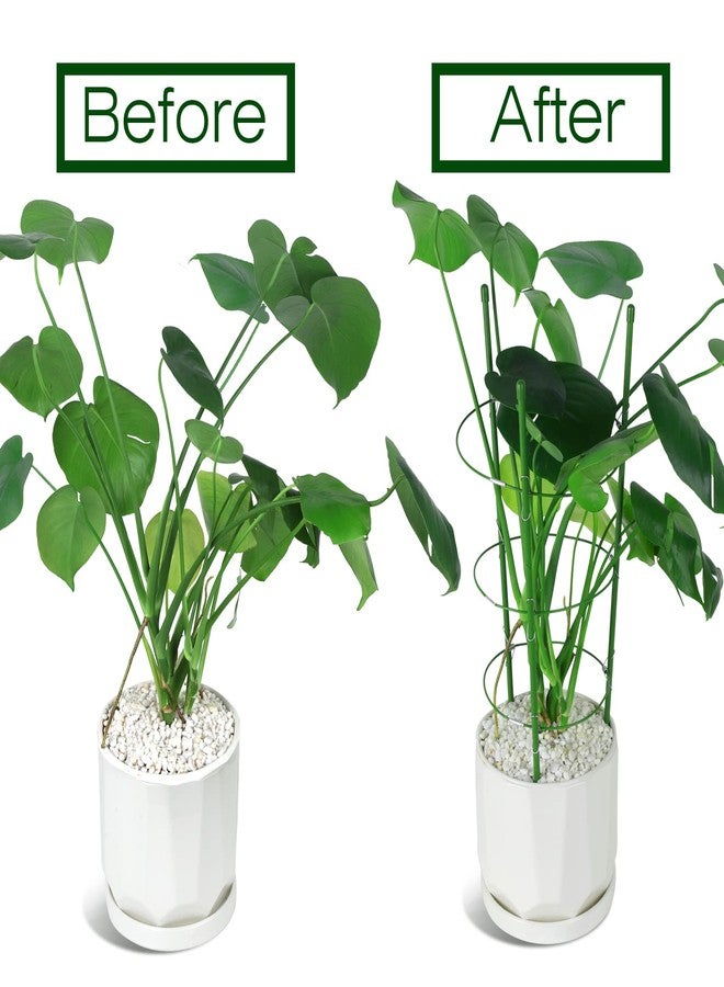 LEOBRO 2 Pack Plant Support Cage Rust Resistant Garden Plant Support Ring Plant Stake Plant Support for Tomato, Trellis, Climbing Plant, Flower, 17.7" High, 5.48"/6.18"/6.89" Inner Diameter - Image 3
