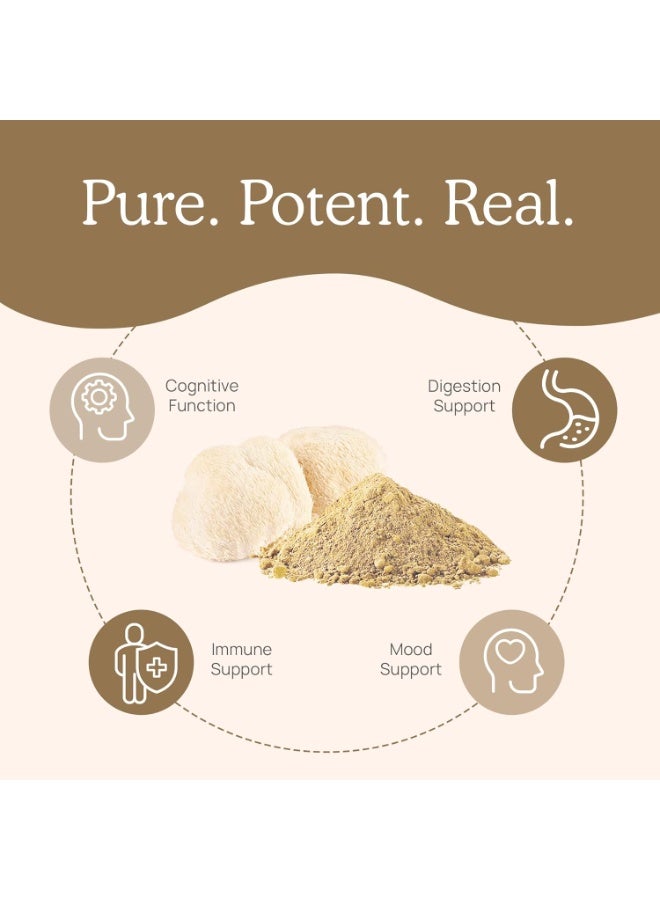 ليون لحم الأسد فطر الإدراك ( 60 حبة ) لحم الأسد فطر مسحوق استخراج كبسولة - Image 2