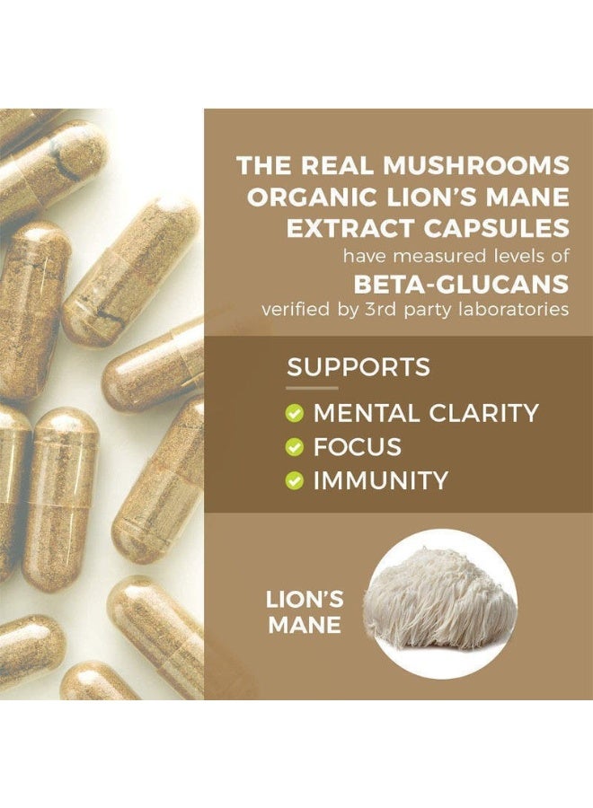 ليون لحم الأسد فطر الإدراك ( 60 حبة ) لحم الأسد فطر مسحوق استخراج كبسولة - Image 4