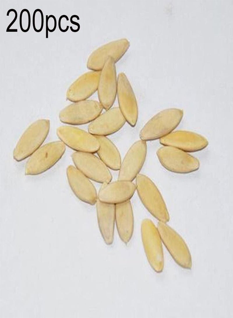 جي جوت 200 قطعة من بذور الخيار، مخلل الخضار والفواكه المغذية للحديقة المنزلية والفناء والنباتات للزراعة في الحديقة والفناء الخارجي 1 بذور خيار - Image 2