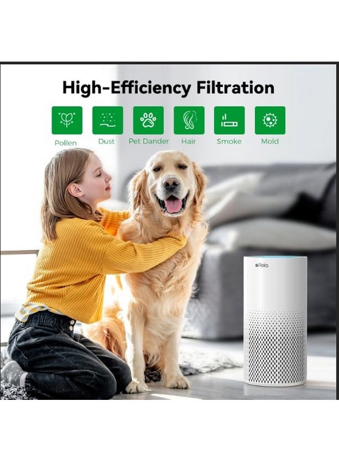 Afloia Afloia Pet Allergy Filter, Compatible with KILO/KILOPLUS/KILOPRO/MIRO/MIRO PRO Air Purifier, 2 Packs  - Image 3