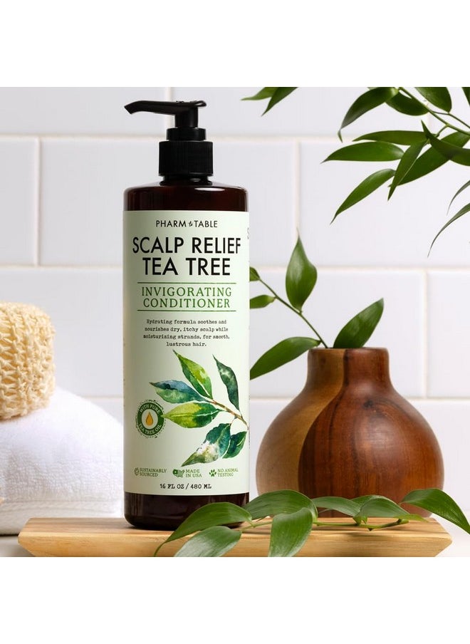 Pharm to Table - PHARM TO TABLE Tea Tree Conditioner For Men and Women, Hair Detangler and Soothing Scalp Relief - Infused with Tea Tree oil, Sunflower oil, Aloe and Argan oil, 16.2oz - Image 1