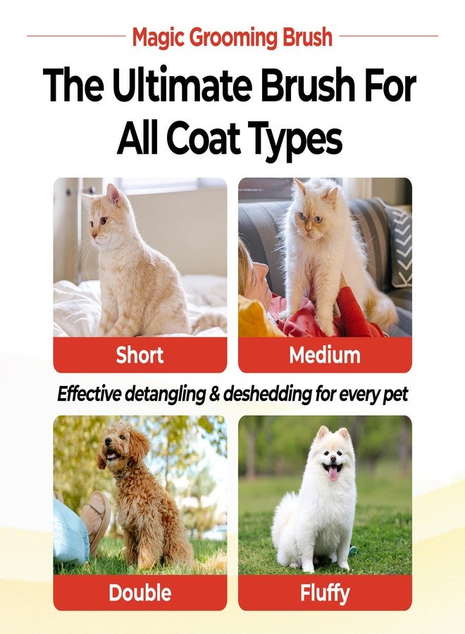JAYU PET Magic Grooming Brush – Cat Brush for Shedding, Dual-Length Stainless Steel Bristles, One-Click Self-Cleaning, Vertical Deshedding Comb, Professional Pet Grooming Tool - Image 5