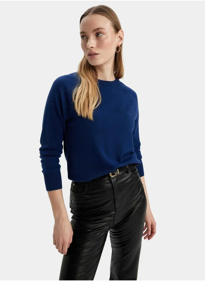 DeFacto Solid Raglan Sleeve Regular Fit Sweater by Styli