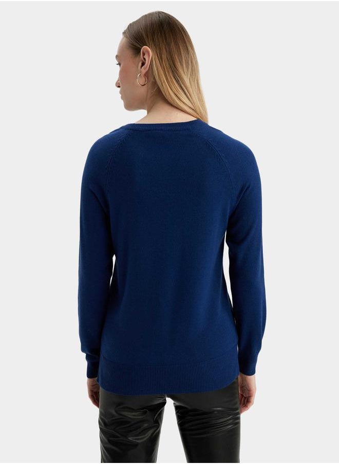 Solid Raglan Sleeve Regular Fit Sweater - pzsku/ZF9FE1DE01DE7E52899B6Z/45/_/1738060764/e5893f11-52ed-4608-893c-cdeaa296a1e8