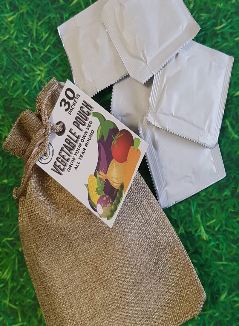 GGOOT Vegetable Seed Pouch with 30 Packets of Fresh New Seeds for Gardening, Grow Your Own Veg Garden All Year Round with This Bumper Variety Collection  - Image 4