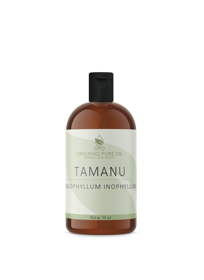 OPO - Tamanu Oil  Pure Uncut Unrefined NonGMO Cold Pressed Nut Carrier Oil for Skin Hair Nails Body Face DIY Cosmetic  16 oz  Hydrating Moisturizing - Image 1