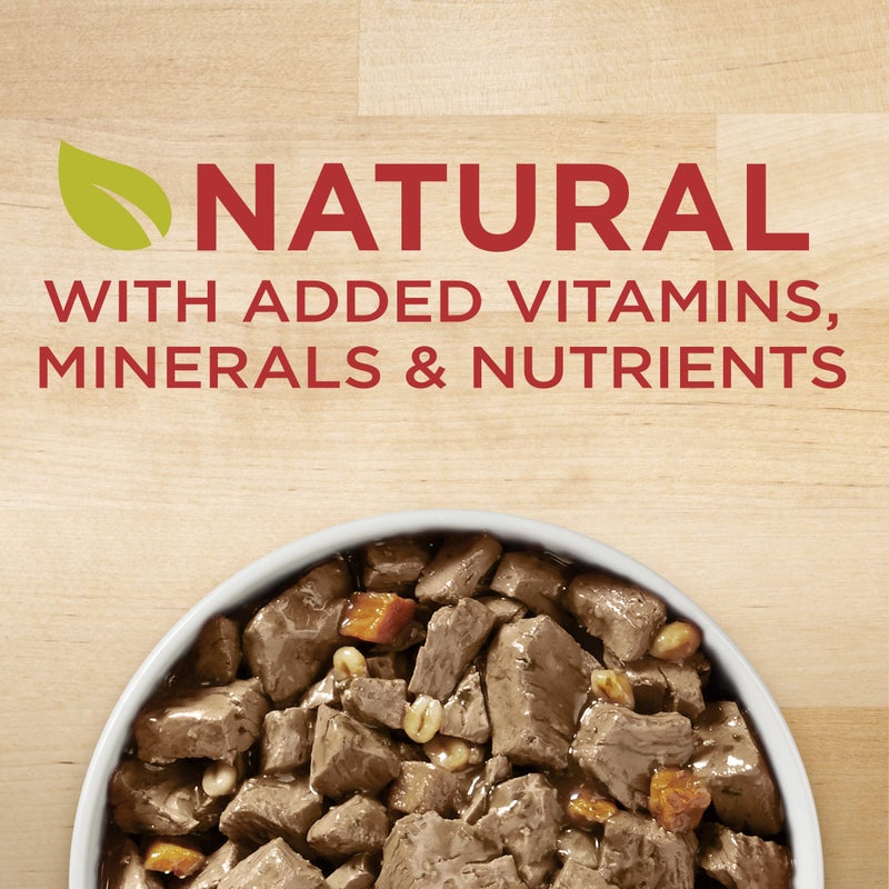 Purina ONE Natural Wet Dog Food Gravy, Tender Cuts in Gravy Beef and Barley EntrÃ©e - 13 Ounce (Pack of 12) - Image 3