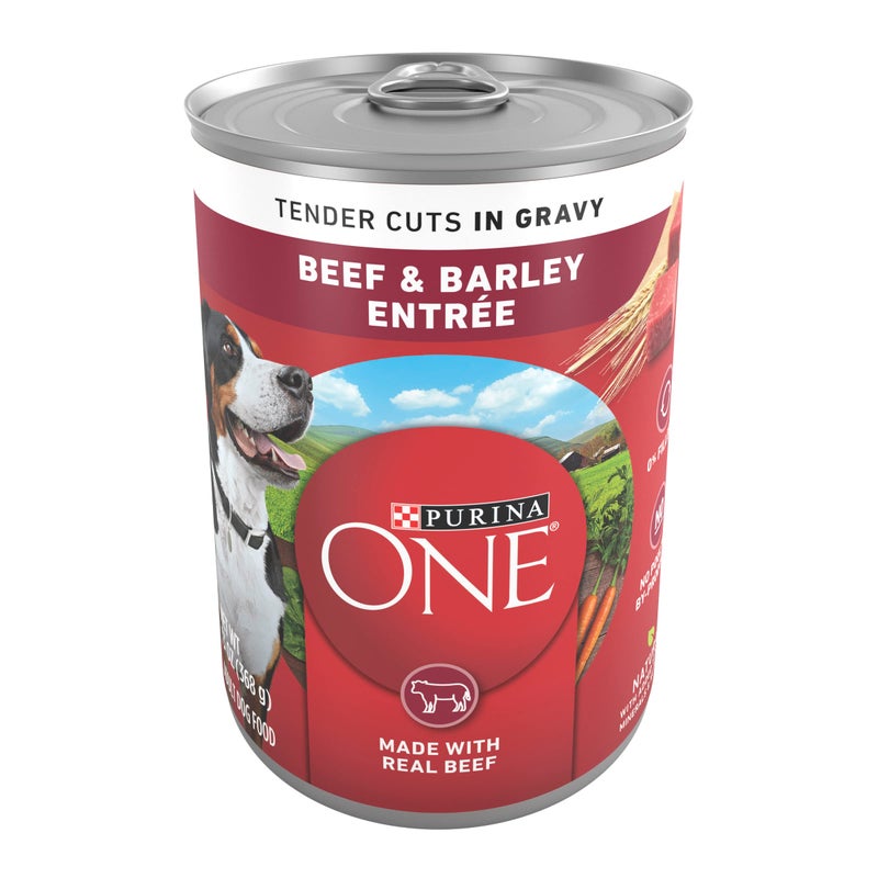Purina ONE Natural Wet Dog Food Gravy, Tender Cuts in Gravy Beef and Barley EntrÃ©e - 13 Ounce (Pack of 12) - Image 1