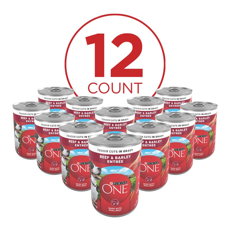 Purina ONE Natural Wet Dog Food Gravy, Tender Cuts in Gravy Beef and Barley EntrÃ©e - 13 Ounce (Pack of 12) - Image 2