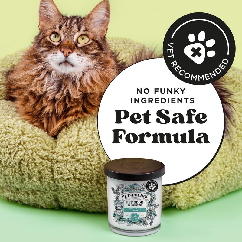 Poo-Pourri Pet-Pourri Pawsitively Fresh Pet Odor Deodorizer Candle, Burns Up to 45 Hours, Aromatherapy & Air Freshener with Essential Oils, Plant Based Ingredients & Wax, Vet Approved, Jasmine Pear Scent - Image 2
