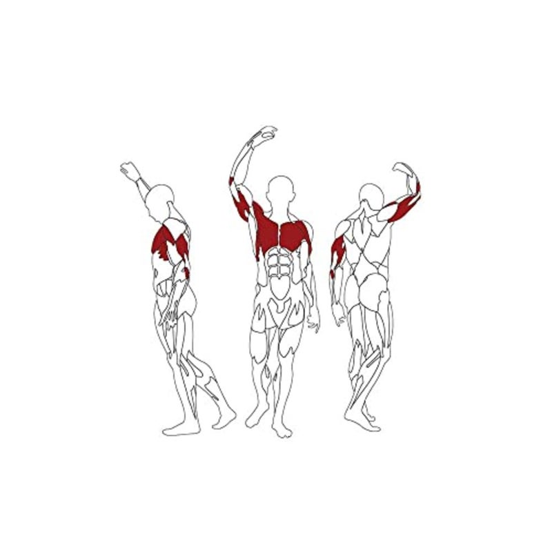 Fitness Seated Chest Press - Image 4