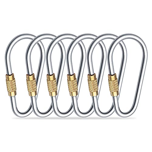 SHD Titanium Small Locking Carabiner Clip Mini Caribeener Clips D-Ring Lightweight Keychain Clip for Indoor Outdoor Use - 6PCS - Image 1