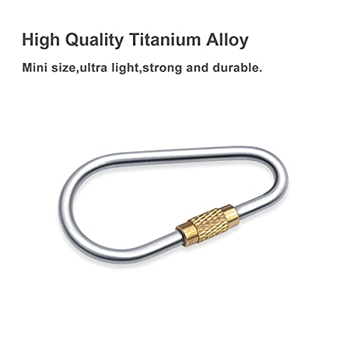 SHD Titanium Small Locking Carabiner Clip Mini Caribeener Clips D-Ring Lightweight Keychain Clip for Indoor Outdoor Use - 6PCS - Image 2