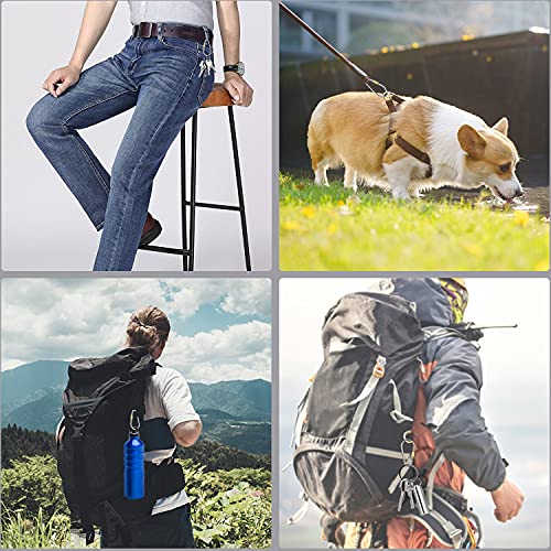 SHD Titanium Small Locking Carabiner Clip Mini Caribeener Clips D-Ring Lightweight Keychain Clip for Indoor Outdoor Use - 6PCS - Image 5
