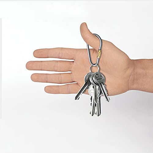 SHD Titanium Small Locking Carabiner Clip Mini Caribeener Clips D-Ring Lightweight Keychain Clip for Indoor Outdoor Use - 6PCS - Image 4