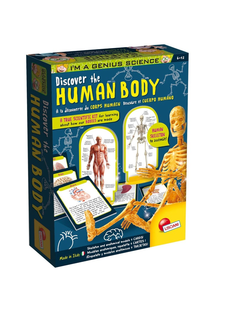 ليسياني أنا عبقري في علم جسم الإنسان - Image 2