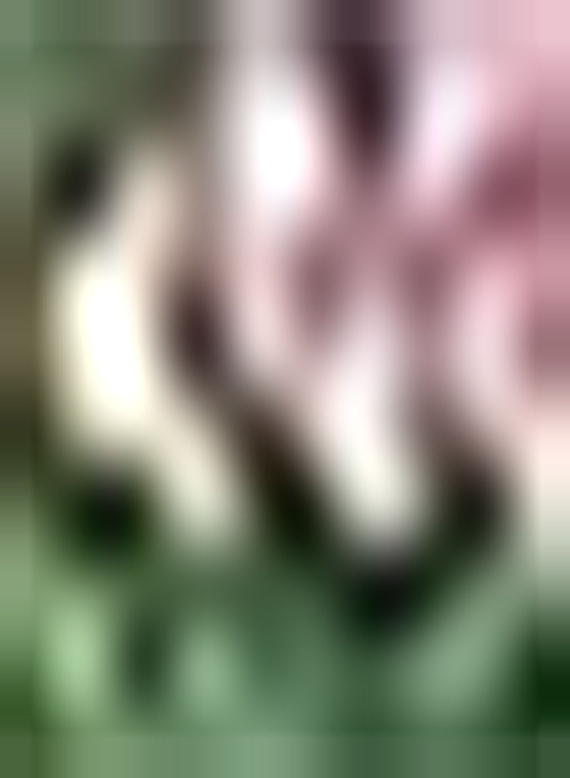 GGOOT 10pcs gemischte Farbe Tulpenzwiebeln Garten Stauden schön duftend ziehen Schmetterlinge Bienen an seltene Sorten attraktiv wartungsarm - Image 2