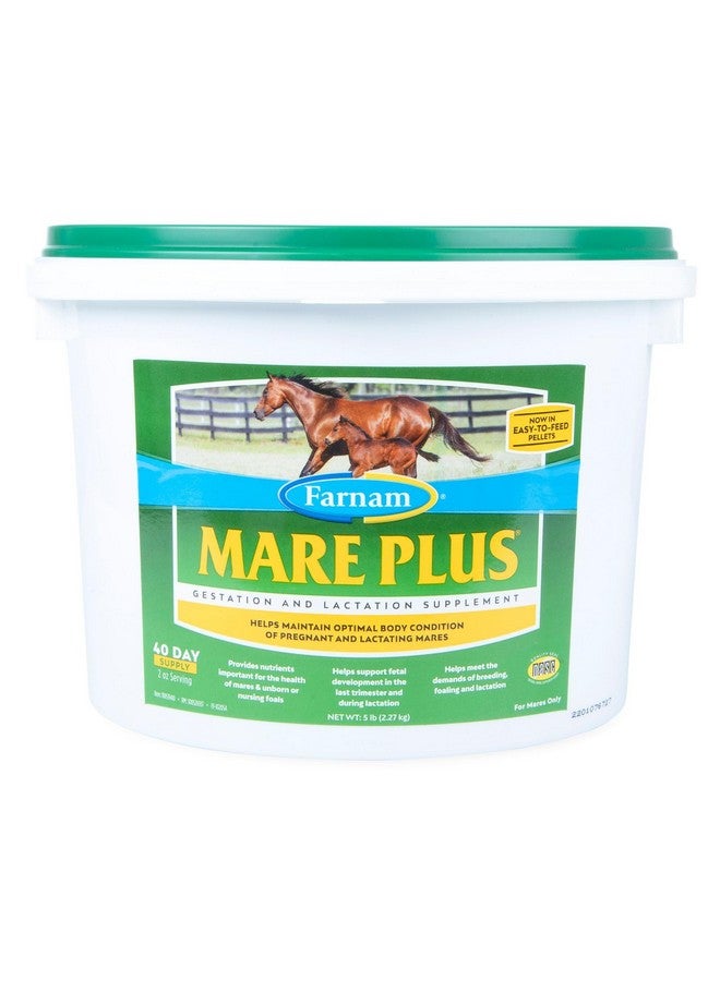 Farnam Mare Plus Gestation & Lactation Supplement 5 pounds, 40 Day Supply - Image 1