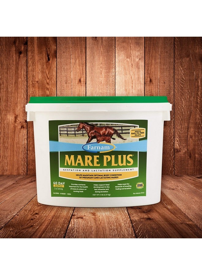 Farnam Mare Plus Gestation & Lactation Supplement 5 pounds, 40 Day Supply - Image 2