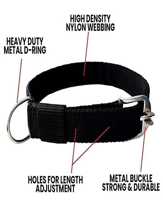 D&C PAWS Dog Belt Combo of 1 inch Nylon Collar with Heavy Dog Chain 63 Inch Lengthy Dog Collar Chain (1 Inch, Black) - Image 3