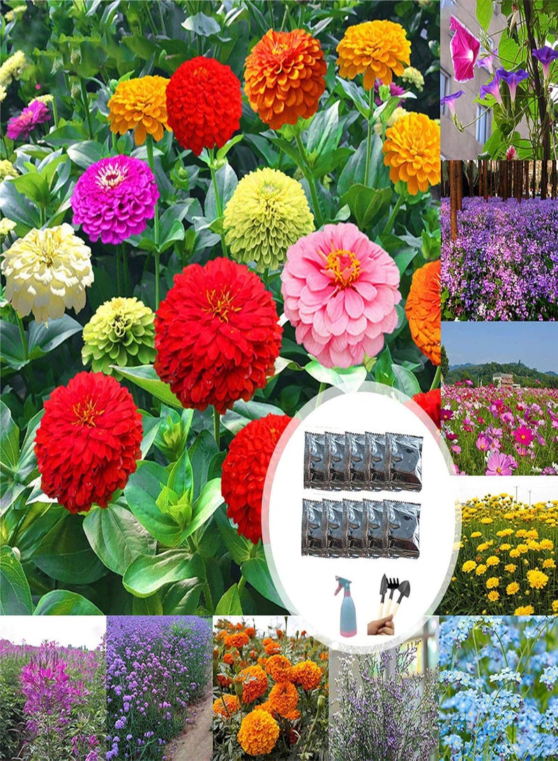 جي جوت نباتات خضراء، 10 أكياس من بذور الحدائق الجميلة سهلة الزراعة، بذور زهور مختلطة ملونة للفناء - بذور زهور مختلطة - Image 2