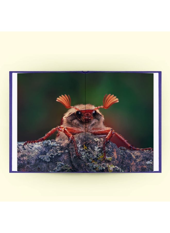 Alien Worlds: How insects conquered the Earth, and why their fate will determine our future  - Image 4