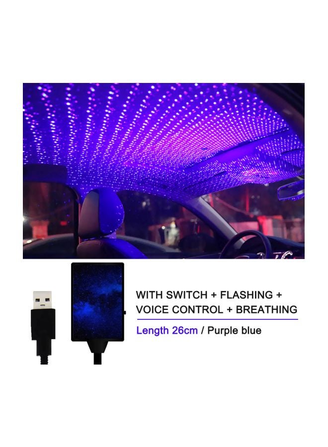 Loquat LED Roof Ceiling Decoration Light - Image 4