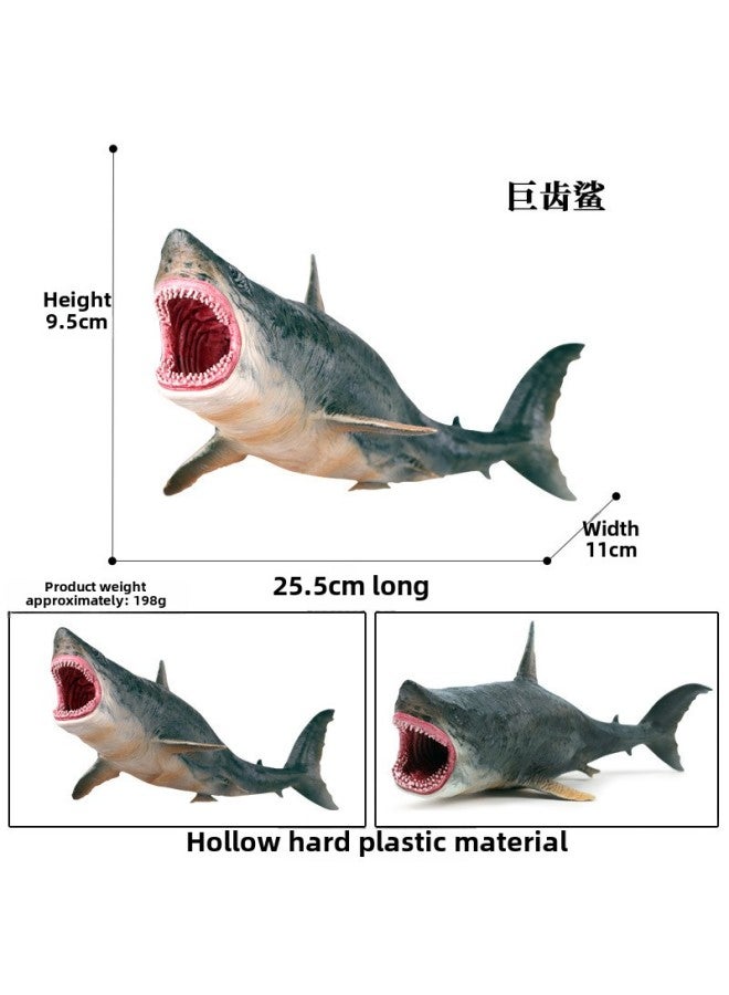 Simulated Animal Plant Models Toy - Realistic Lifelike Duckling Lotus Leaf Design Suitable For Educational Play-Color:Spot Hollow Megalodon Shark Model About 0.198kg  - Image 1