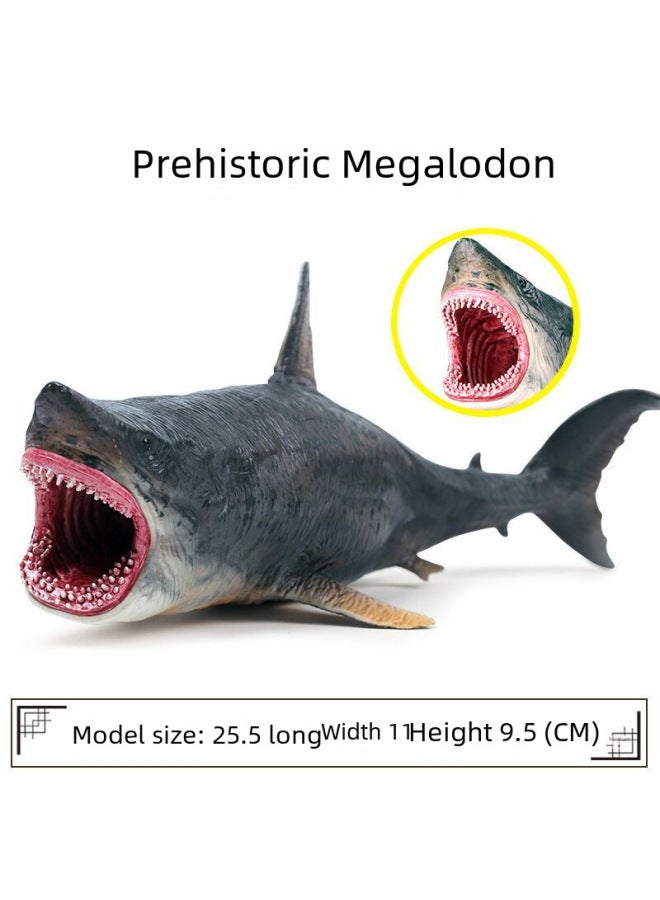 Simulated Animal Plant Models Toy - Realistic Lifelike Duckling Lotus Leaf Design Suitable For Educational Play-Color:Spot Hollow Megalodon Shark Model About 0.198kg  - Image 4