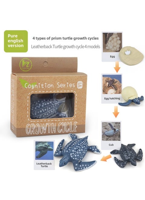 Realistic Simulation Animal Plant Models Toy Collection - Dinosaurs Dragons Unicorns Mermaids Sharks More-Color:PL127-2425 Leatherback Turtle Growth Cycle + English Card + Color Box