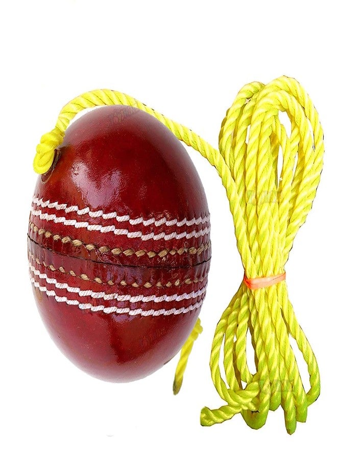 TOPTEAM Top Team Leather Cricket Shot Practice Hanging Ball, String Cricket Ball with Rope and Free 1 36 Pices Puzzle (Pack of 1). - Image 1