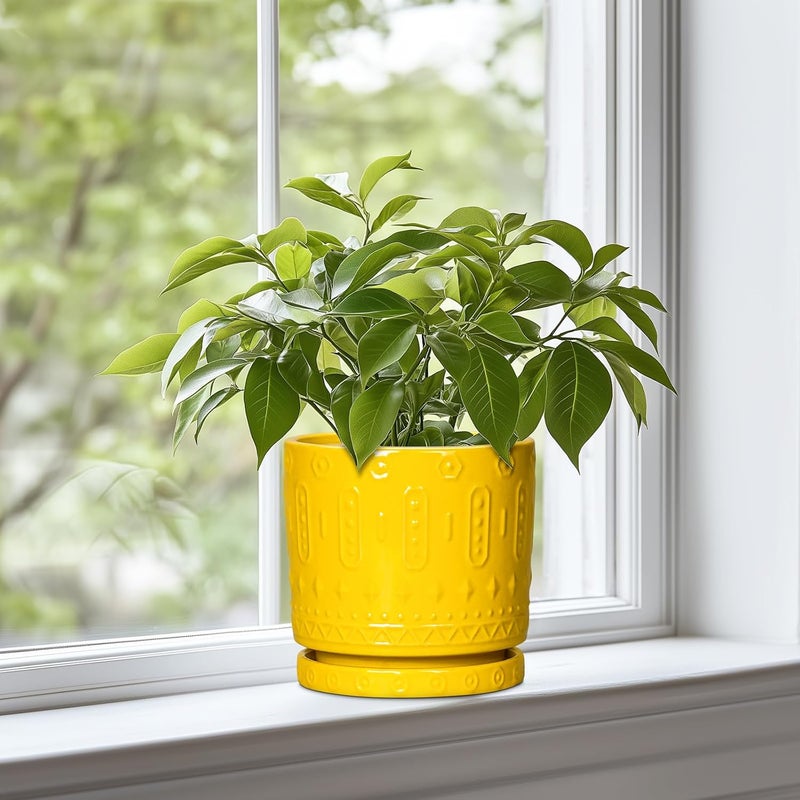 Eightpot 6 Inch Ceramic Planter Pot Plant Pot with Drainage Hole and Saucer, Round Large Flower Pot for Indoor Plants Outdoor Garden Planter Pot, Yellow - Image 3