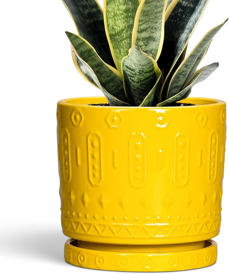 Eightpot 6 Inch Ceramic Planter Pot Plant Pot with Drainage Hole and Saucer, Round Large Flower Pot for Indoor Plants Outdoor Garden Planter Pot, Yellow - Image 1