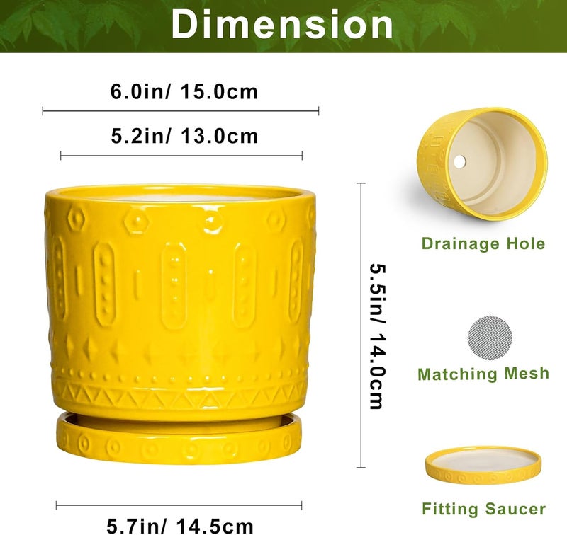 Eightpot 6 Inch Ceramic Planter Pot Plant Pot with Drainage Hole and Saucer, Round Large Flower Pot for Indoor Plants Outdoor Garden Planter Pot, Yellow - Image 2