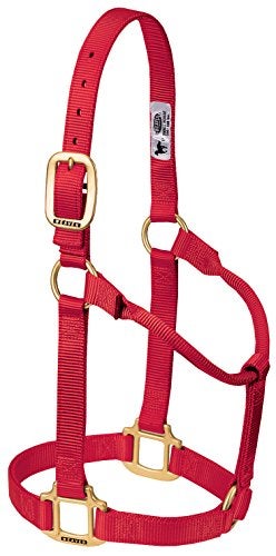 Weaver Leather Original Non-Adjustable Nylon Horse Halter, Small, Red - Image 2