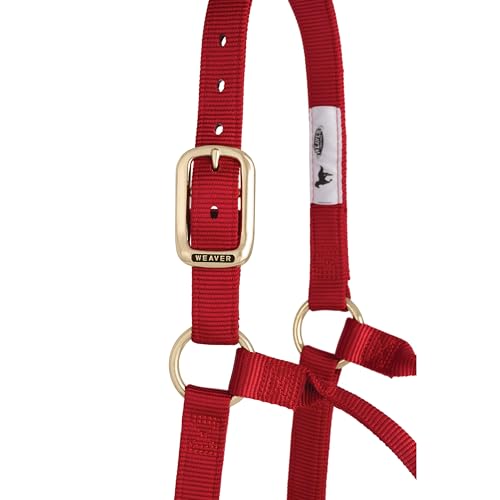 Weaver Leather Original Non-Adjustable Nylon Horse Halter, Small, Red - Image 5