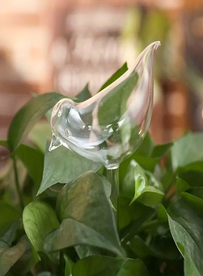 Generic Waterer Bird Self Watering Bulb Hand Blown Clear Glass Plant Transparent 25.00 * 1.00 * 10cm  - Image 4