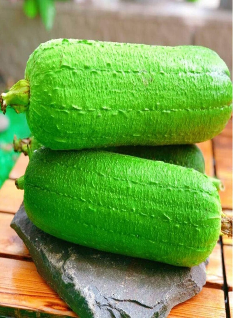 GGOOT 80pcs Loofah Seeds Short Thick Meat Loofah Unique Variety Garden Terrace Courtyard View Simple Planting Prolific and Easy to Maintain - Image 1