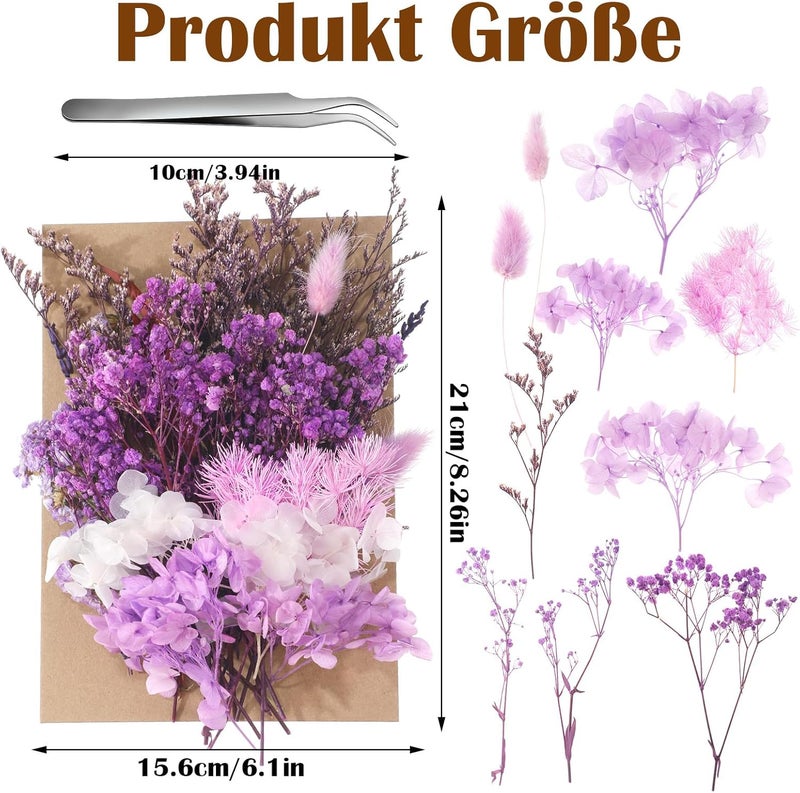 AuraRay Real Dried Flowers, Natural Dry Flowers Mixed Natural Pressed Flowers Flores Secas Dried Florals for Crafts,Resin,Candle Making (Purple) - Image 4