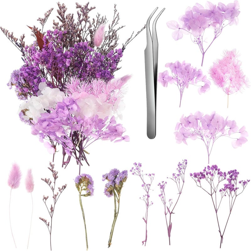 AuraRay Real Dried Flowers, Natural Dry Flowers Mixed Natural Pressed Flowers Flores Secas Dried Florals for Crafts,Resin,Candle Making (Purple) - Image 1