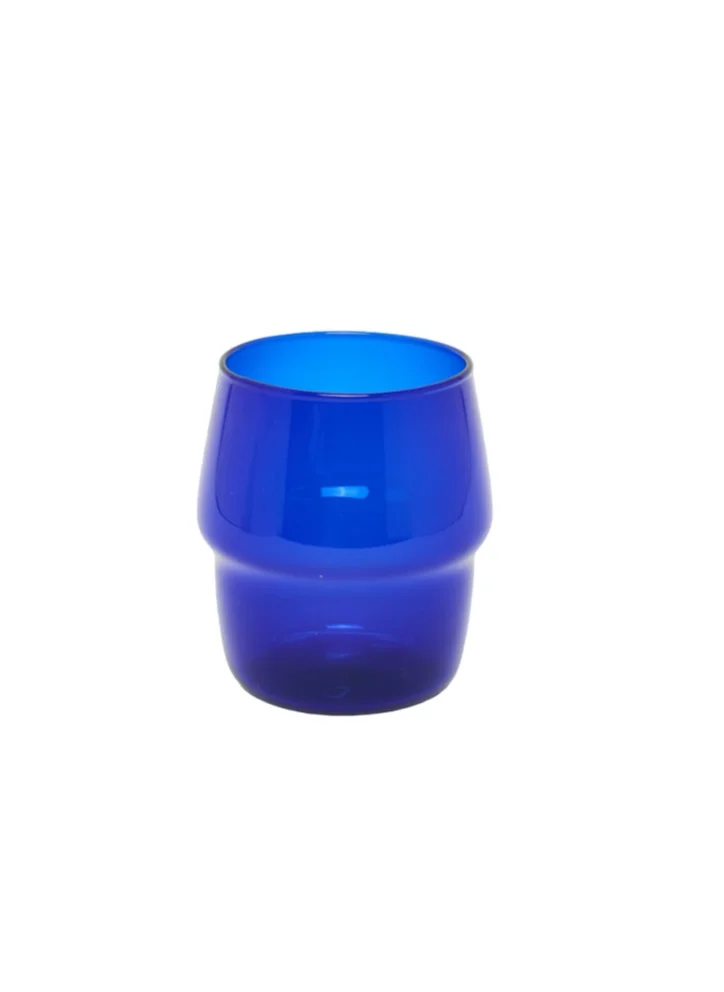 Prickly Pear Prickly Pear Blue Ridge Glass Tumbler for Cold Drinks and Beverages