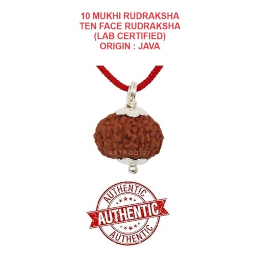ASTRODIDI 10 Mukhi Rudraksha Original Certified Java (15-16 mm) Ten Face Small Size Silver Coated Pendant with Lab Report | Astrological Benefits | Unisex Design for Men & Women - Image 3