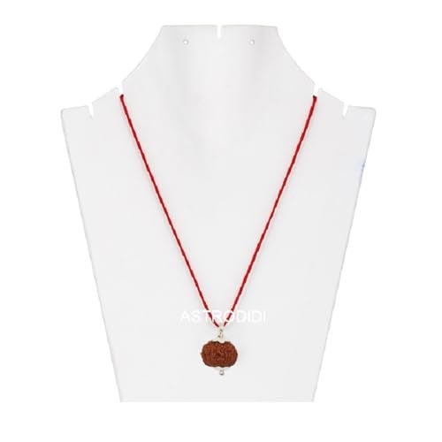 ASTRODIDI 10 Mukhi Rudraksha Original Certified Java (15-16 mm) Ten Face Small Size Silver Coated Pendant with Lab Report | Astrological Benefits | Unisex Design for Men & Women - Image 5