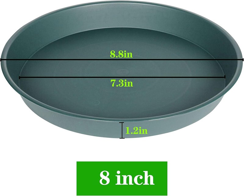 Bleuhome 2 Pack of 8 inch Plant Saucer Clear, Heavy Duty Plastic Plant Water Tray 8 inch Round, Flower Plant Saucers for Indoors No Holes, Plant Dishes Saucer for Planter 7"/8" (8", Green) - Image 2