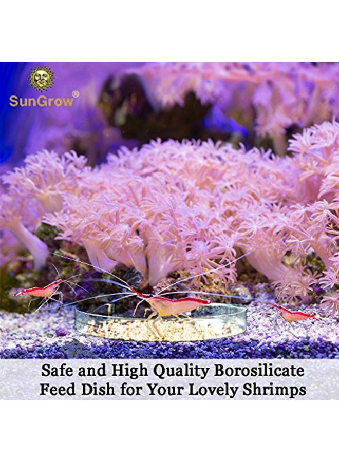 صن جرو طبق طعام الروبيان والوزغ من SunGrow مصنوع من زجاج البورسليكات المتين، حوض واسع وعميق وشفاف لحمل طعام الروبيان وأدوية الكلاب والقطط - Image 3