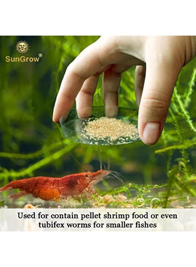 صن جرو طبق طعام الروبيان والوزغ من SunGrow مصنوع من زجاج البورسليكات المتين، حوض واسع وعميق وشفاف لحمل طعام الروبيان وأدوية الكلاب والقطط - Image 4